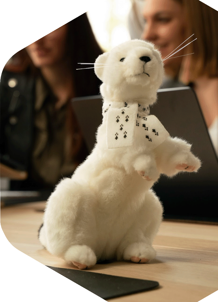 Hermine en peluche sur le bureau de notre cabinet en gestion de patrimoine à Rennes