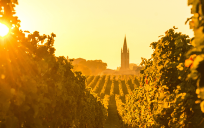 Gestion de patrimoine à Bordeaux : pourquoi opter pour une gestion privée ?